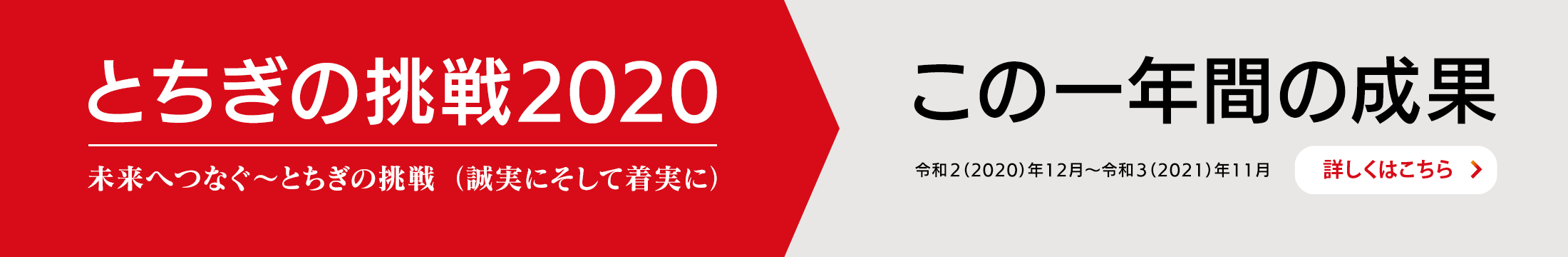 この一年間の成果