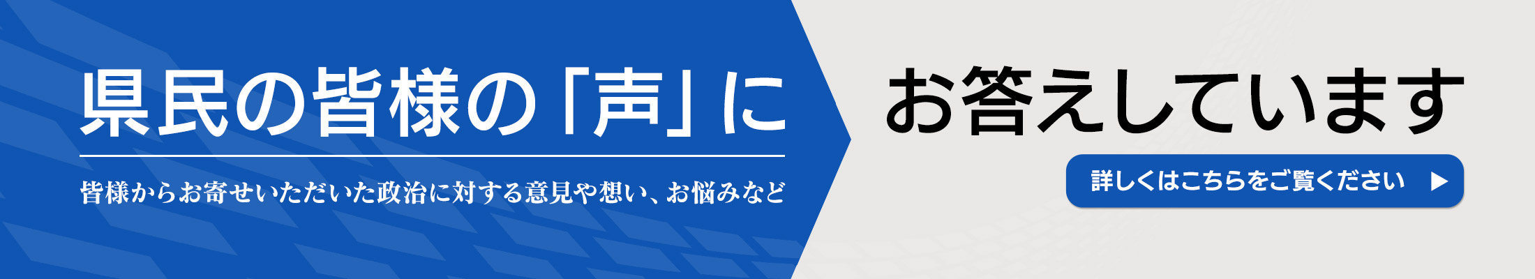 県民の声